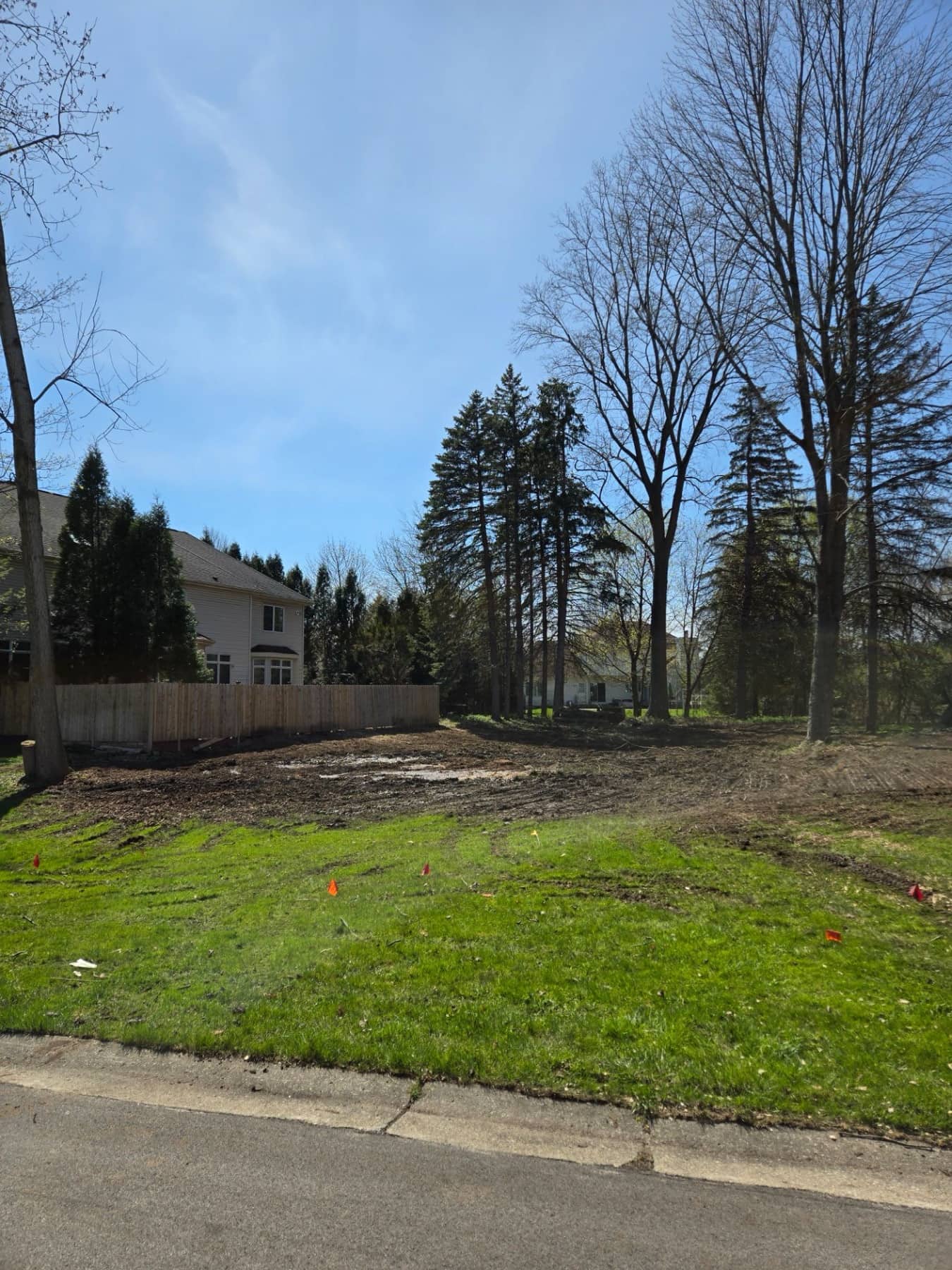Residential lot after tree and brush clearing work