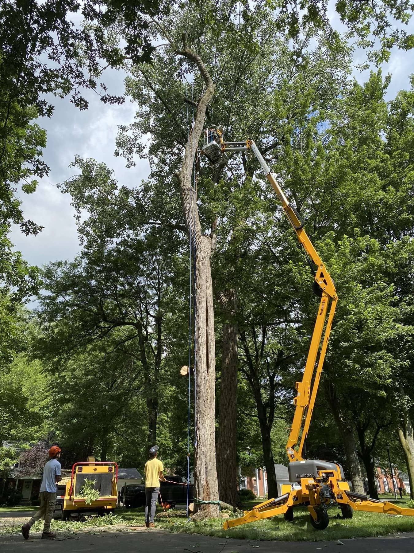 Huntsville Tree Service completing a technical tree-removal project