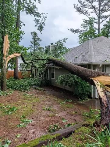 A large tree came down across the roof after a storm.