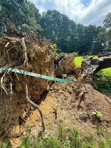 Exposed roots and a fallen trunk show the full scope of this storm cleanup.
