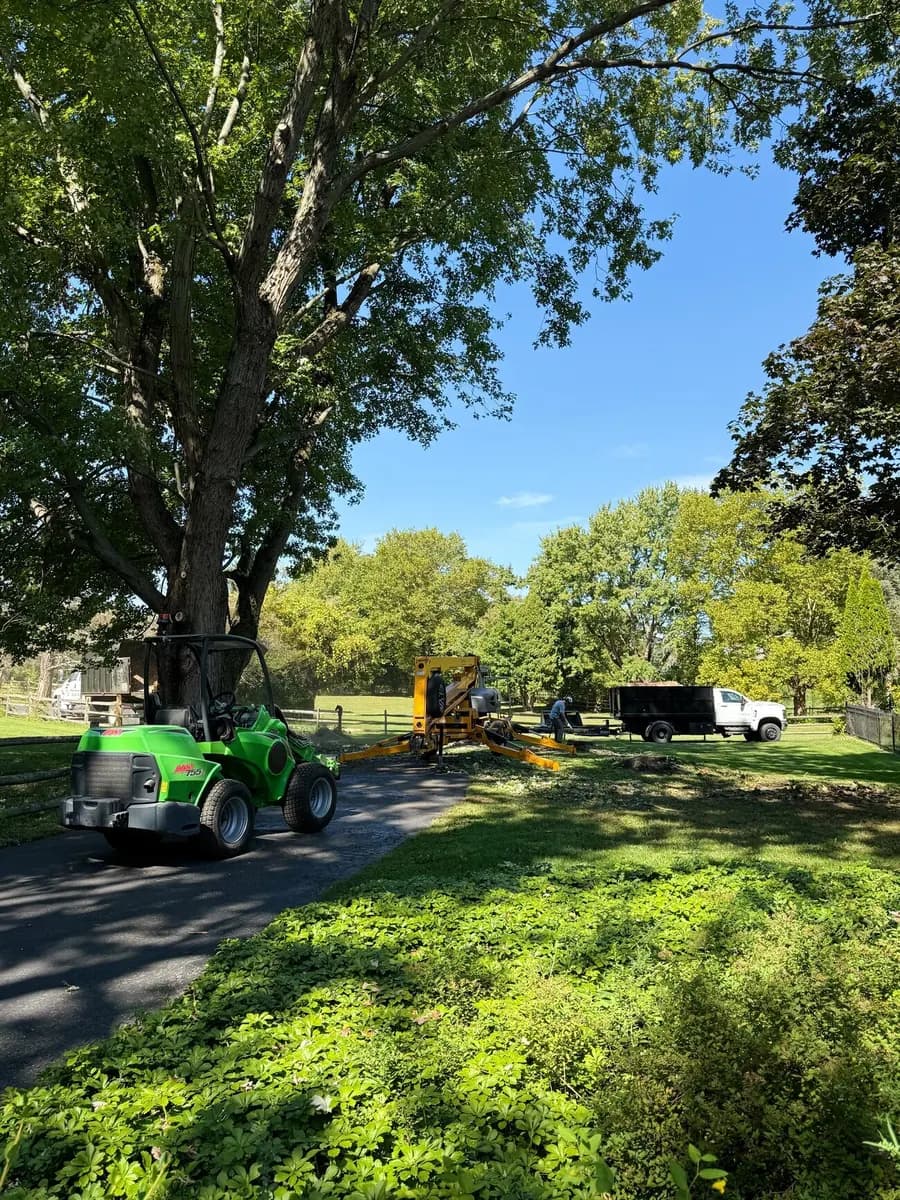 A compact loader on the driveway, with a tracked lift and a dump truck parked on the lawn of a wide property