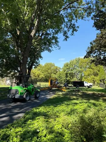 Compact loader, tracked lift, and dump truck staged for a large tree job on a wide property.