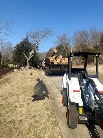 Logs loaded on the trailer and the yard tidied up after a streetside tree removal.