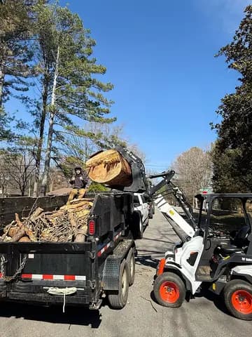 Heavy trunk sections are loaded for removal as the crew clears the job site.