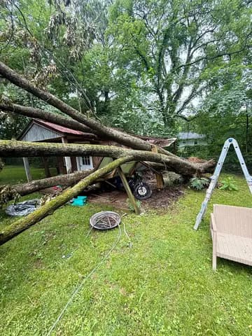 Storm winds dropped this tree across a backyard carport; the crew removes it in sections.