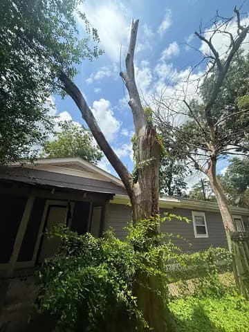A damaged tree leans over the home before careful removal and site cleanup.