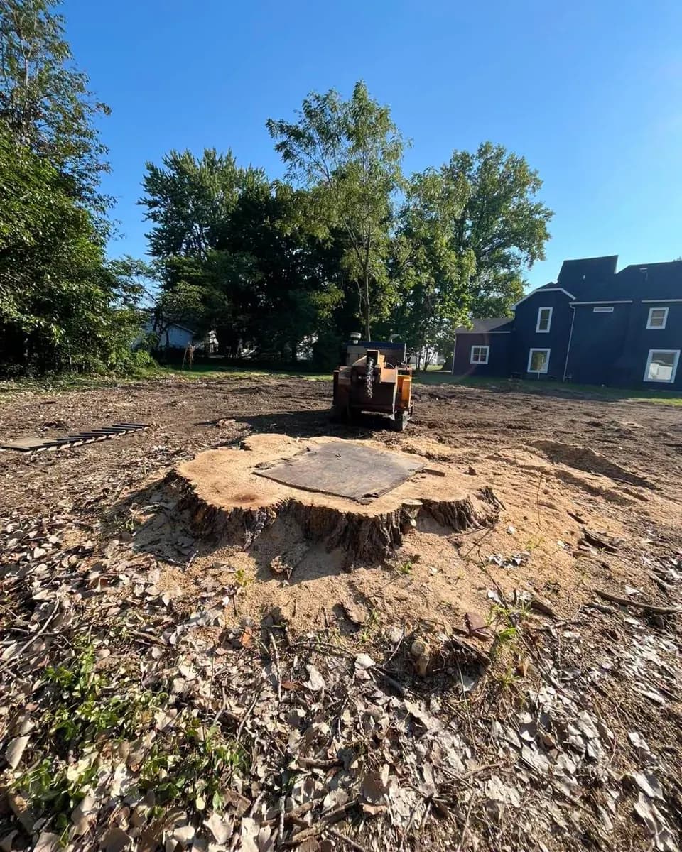 A wide stump above ground with a stump grinder behind it on a North Alabama property