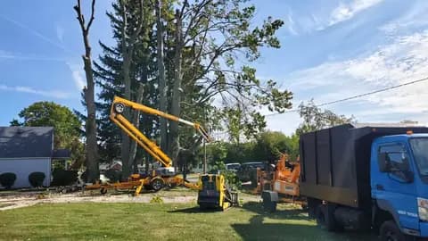 Two lifts and the chip truck set up for a tall removal along the street.