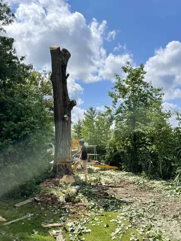 The last section of a tall trunk comes down under control.
