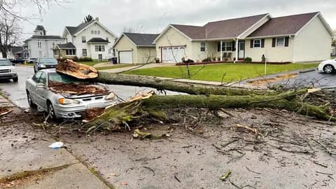 A storm dropped this tree across a car and the street.