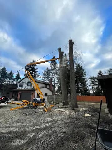 The lift reaches the top of a bare trunk so it comes down in short, safe sections.