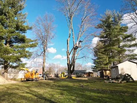 The chipper and lift set up for a winter removal.