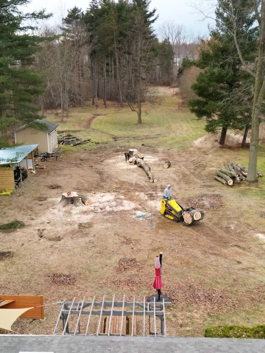 A cleared lot with cut logs stacked in a pile, waiting to be hauled off
