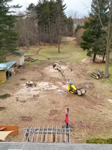 A lot cleared and the logs stacked for haul off.