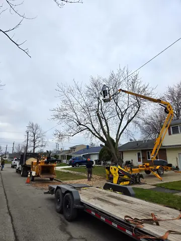 Street set up for a removal over the roof: lift, chipper, and trailer.