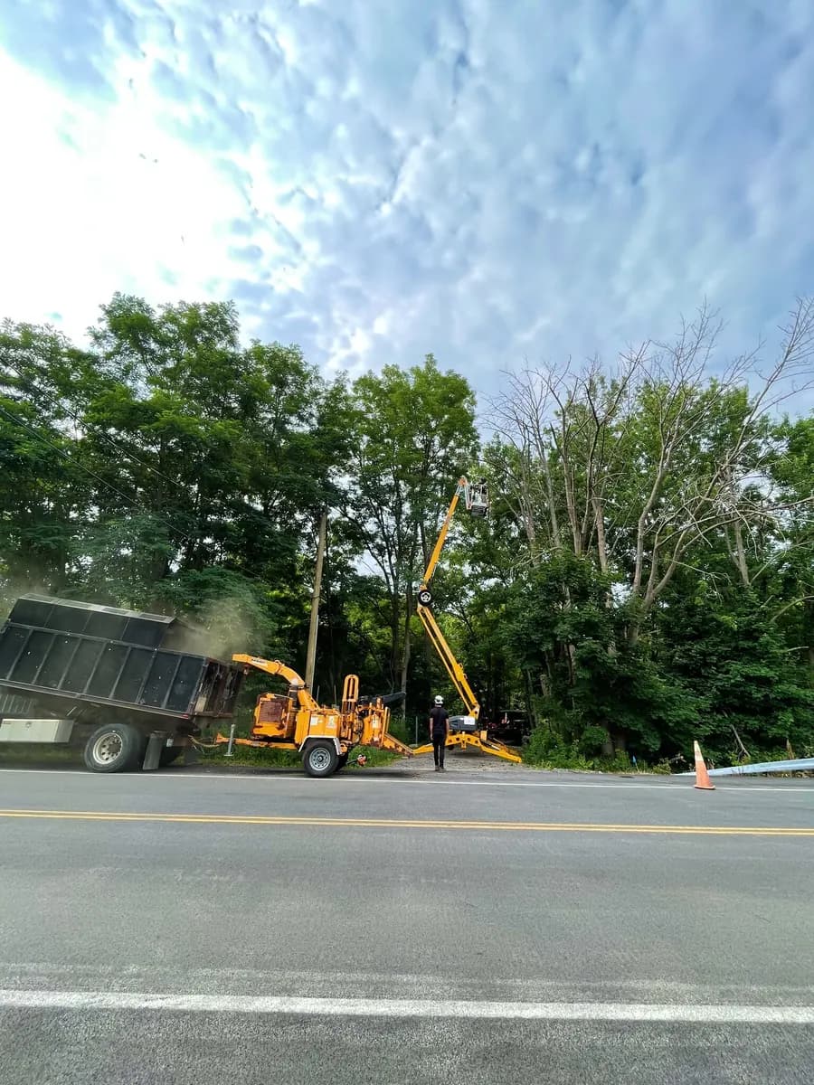 A tree crew working a roadside removal with a lift raised, a chipper and dump truck on the shoulder, and a traffic cone by the lane