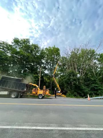 Roadside removal with the lift up and the chipper running, cones keeping the lane safe.