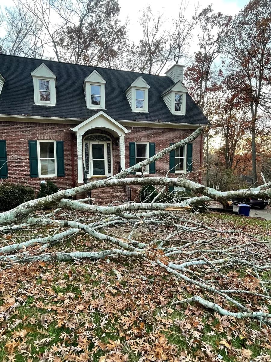 A large storm-broken limb lying across the front entry of a brick home