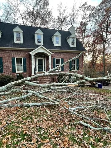 A large limb came down across the front entry of this brick home after a storm.