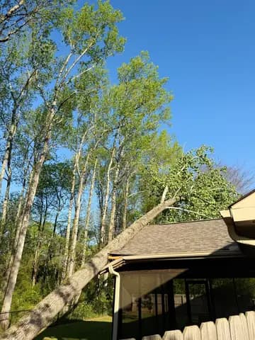 A leaning tree came to rest on the roof of a screened porch after a storm.