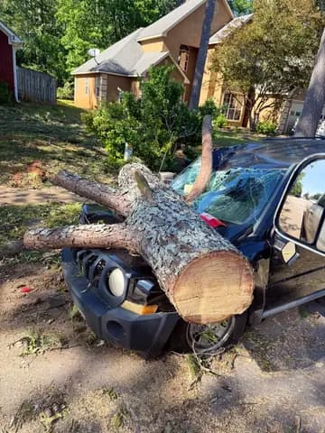 A pine came down across a parked SUV, and the crew cut it free before hauling it off.