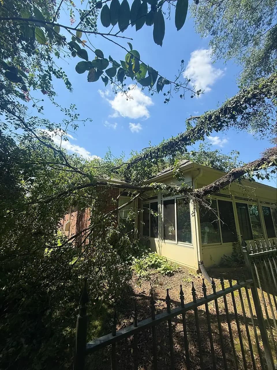 Storm damaged tree resting across a Huntsville area home before removal